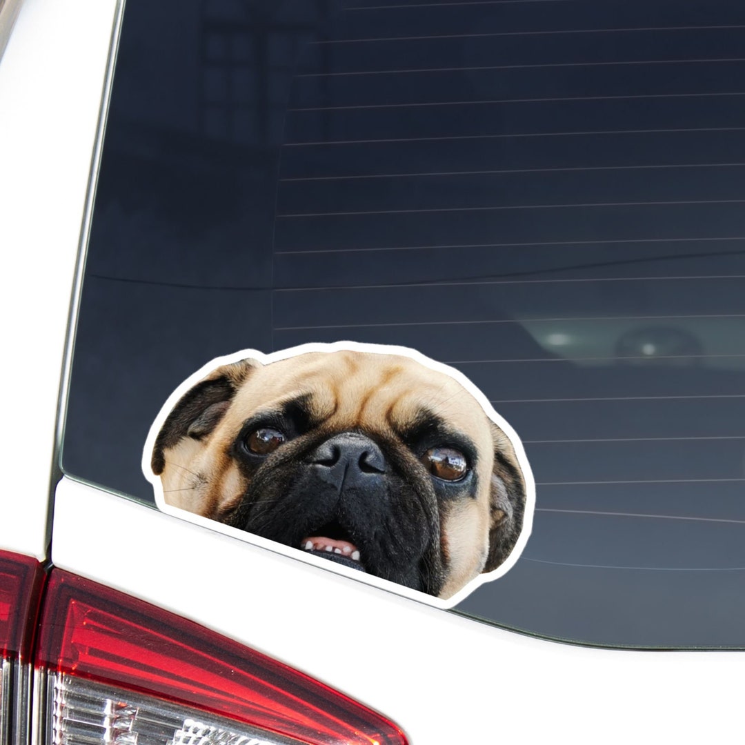 Peeking Fawn Pug Car Decal - Waterproof Vinyl Sticker - Etsy