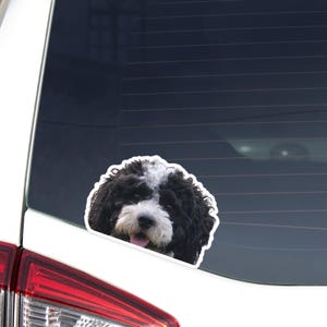 May include: A die-cut sticker of a black and white dog with its tongue sticking out. The sticker is applied to the rear window of a white vehicle. The dog has fluffy fur and a friendly expression.