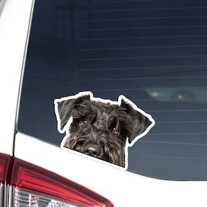 Black Miniature Schnauzer Car Decal Sticker / Peeking Realistic Dog Face / Vinyl Waterproof Removable Outdoor / Bumper Window Laptop Phone