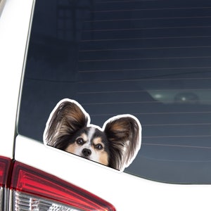 Tricolor Papillon Car Decal Sticker / Peeking Realistic Tri Papillon Head / Vinyl Waterproof Removable Outdoor / Bumper Window Laptop Phone