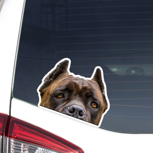Brindle Cane Corso Car Decal Sticker / Peeking Italian Mastiff Dog Head Face / Vinyl Waterproof Removable Outdoor / Bumper Window Laptop