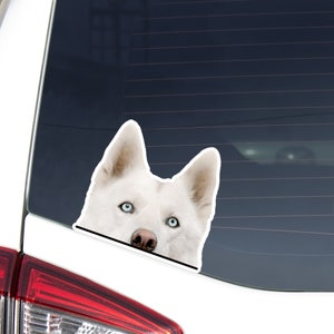 Realistic White Husky Sticker Decal / Peeking Siberian Husky Face Window Bumper Laptop / Looking Out Dog Vinyl Removable Waterproof Outdoor