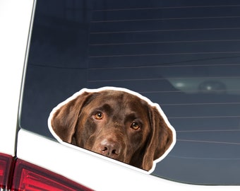 Peeking Labrador Car Decal Sticker / Chocolate Labrador Dog Head Looking Out Bumper Window Laptop / Vinyl Waterproof Removable Outdoor