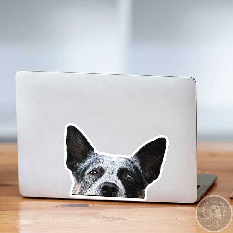 May include: A sticker of a blue heeler dog peeking over the edge of a laptop screen. The dog has black and white markings and is looking directly at the camera.