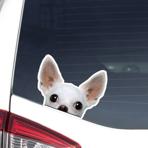 Peeking Chihuahua Car Decal Sticker / Realistic White Chihuahua Head Dog Vinyl Waterptroof Outdoor Removable / Bumper Window Laptop Bottle