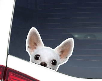 Peeking Chihuahua Car Decal, White Dog Vinyl Sticker