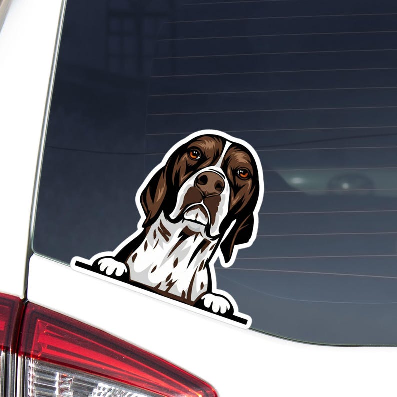 Liver & White English Pointer Car Decal: Personalization Peeking Dog ...