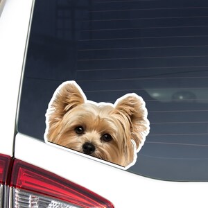 May include: A car window sticker featuring a Yorkshire Terrier dog with tan and brown fur. The dog's head is visible, with its ears perked up and dark eyes looking forward. The sticker is white-edged and applied to a car window.