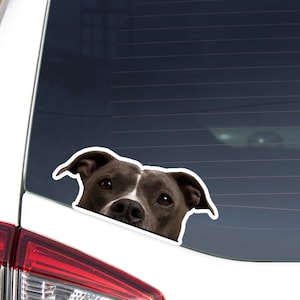 Realistic Black Pitbull Car Decal Sticker / Peeking Pittie Dog Head Face / Vinyl Waterproof Removable Outdoor For Bumper Window Laptop