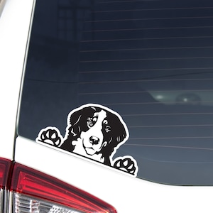 Bernese Mountain Car Decal / Peeking Smiling Black White Berner Dog Head / Vinyl Waterproof Removable Outdoor / Bumper Window Laptop