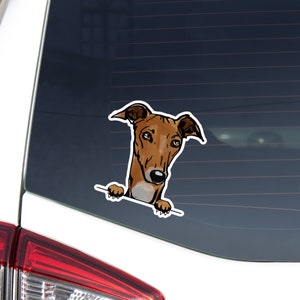 Realistic Greyhound Car Decal Sticker / Peeking Red Fawn White Dog Paws Up Vinyl Waterproof Removable Outdoor  / Bumper Window Laptop
