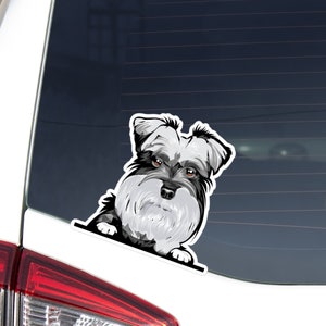 Miniature Schnauzer Car Decal Sticker / Gray Peeking Realistic Mini Schnauzer Paws Vinyl Waterproof Bumper Window / Removable Outdoor