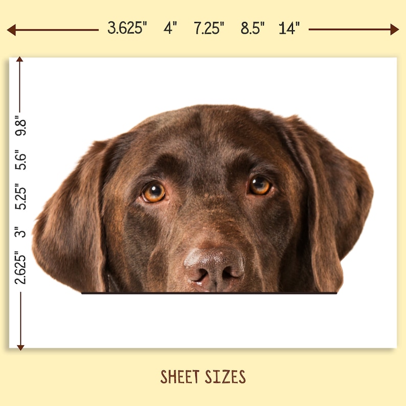 Peeking Labrador Car Decal Sticker / Chocolate Labrador Dog Etsy