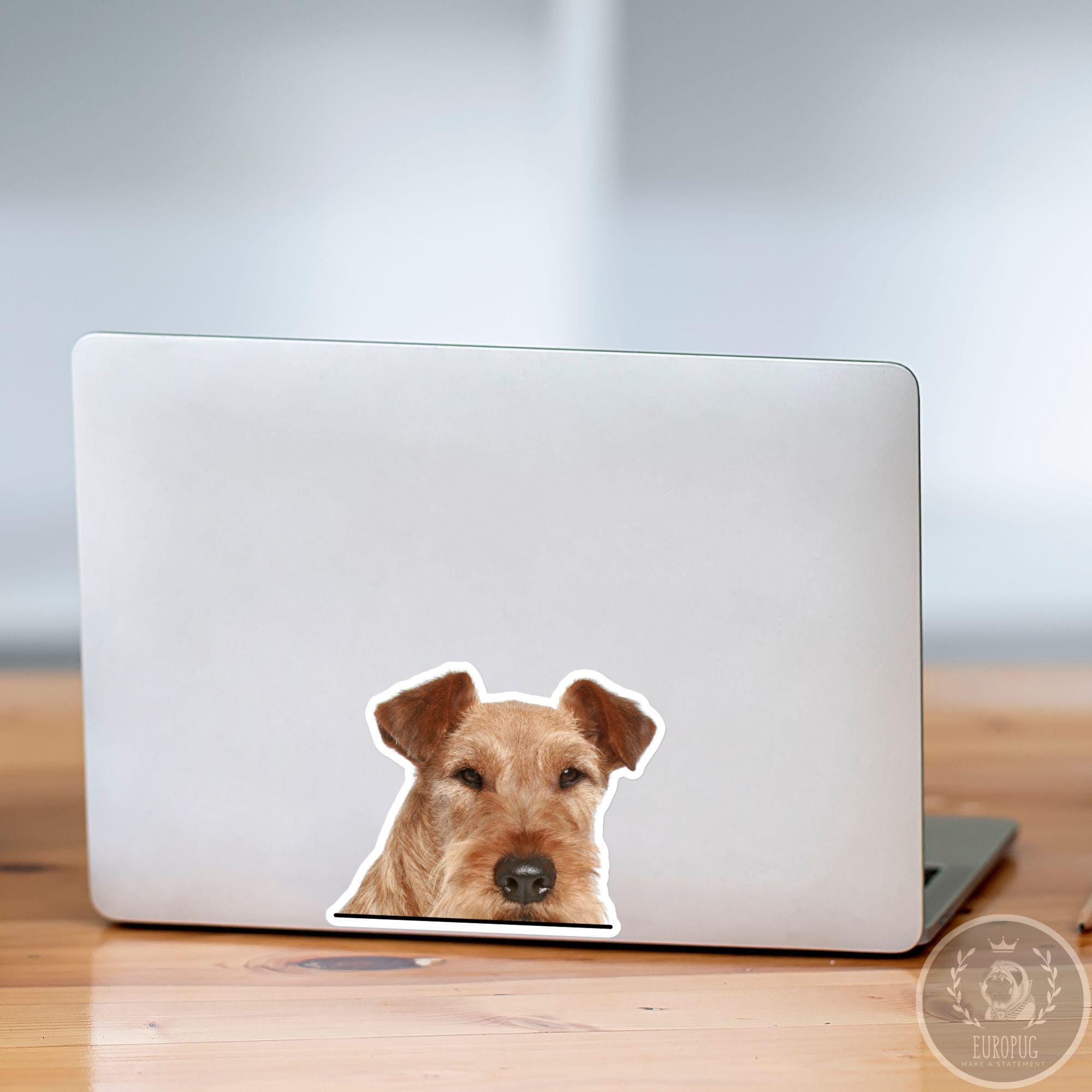 Irish Terrier Car Decal: Peeking Wheaten Dog Head Waterproof