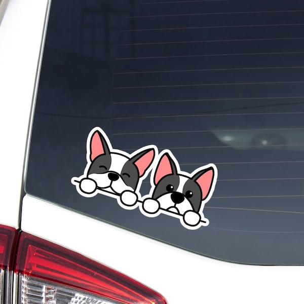 Peeking Boston Terrier Girl (A25) Vinyl Decal Sticker Car Laptop Window Custom