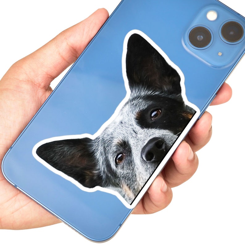May include: A blue phone case with a sticker of a dog's face peeking out from behind the case.