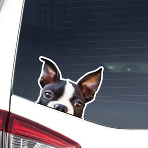 Black&White Boston Terrier Car Decal Sticker / Peeking Realistic Dog Head / Vinyl Waterproof Removable Outdoor / Bumper Window Laptop Phone