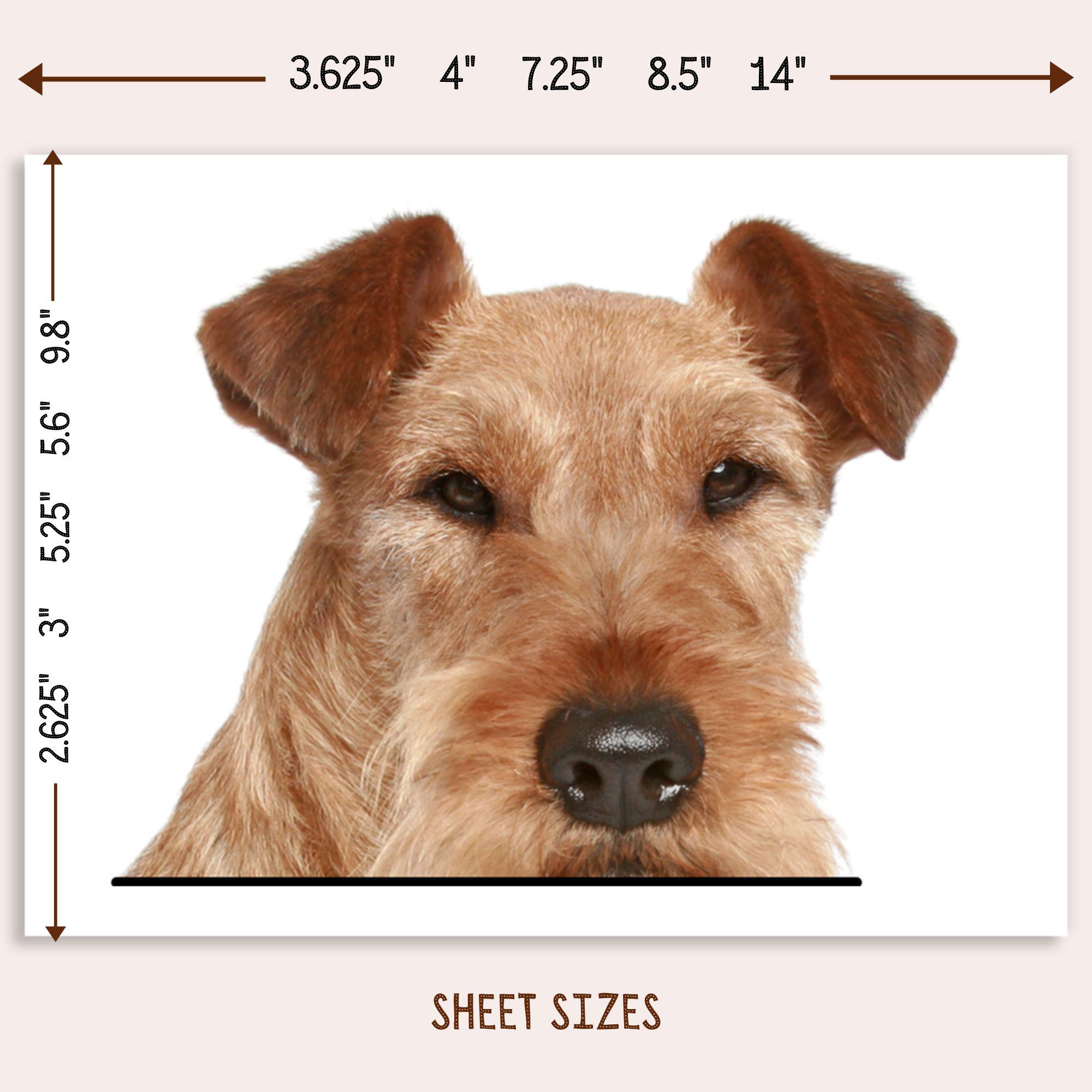 Irish Terrier Car Decal: Peeking Wheaten Dog Head Waterproof