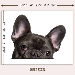 May include: A close-up of a French Bulldog's face, with dark gray fur and large, upright ears. The dog's eyes are visible, and the image is set against a white background. The text "SHEET SIZES" is at the bottom.