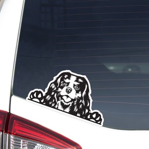 Cavalier King Charles Spaniel Car Decal Sticker / Peeking Black White Dog Head / Vinyl Waterproof Removable Outdoor / Bumber Window Laptop