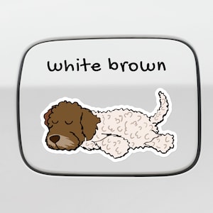 Könnte beinhalten: Weiße und braune Cartoon-Illustration eines schlafenden Lagotto Romagnolo. Der Text "white brown" befindet sich über dem Hund.