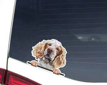 English Setter Car Decal - Peeking Orange Belton Dog Vinyl Sticker