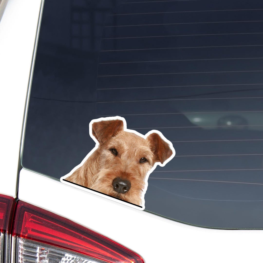 Irish Terrier Car Decal: Peeking Wheaten Dog Head Waterproof