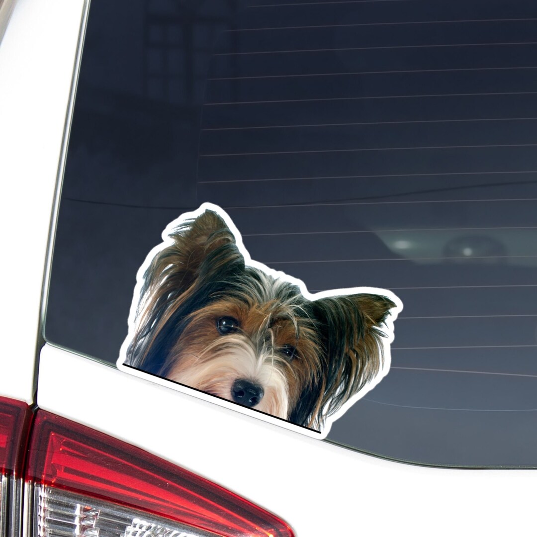 Biewer Yorkshire Terrier Car Sticker Decal/peeking Realistic Black ...