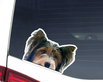 Biewer Yorkshire Terrier Car Sticker Decal/Peeking Realistic Black White Gold Yorkie Head/Vinyl Waterproof Removable Outdoor/Window Bumper