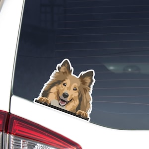 Shetland Sheepdog Car Decal Sticker / Peeking Sable Sheltie Dog Head Face / Vinyl Waterproof Removable Outdoor / Bumper Window Laptop