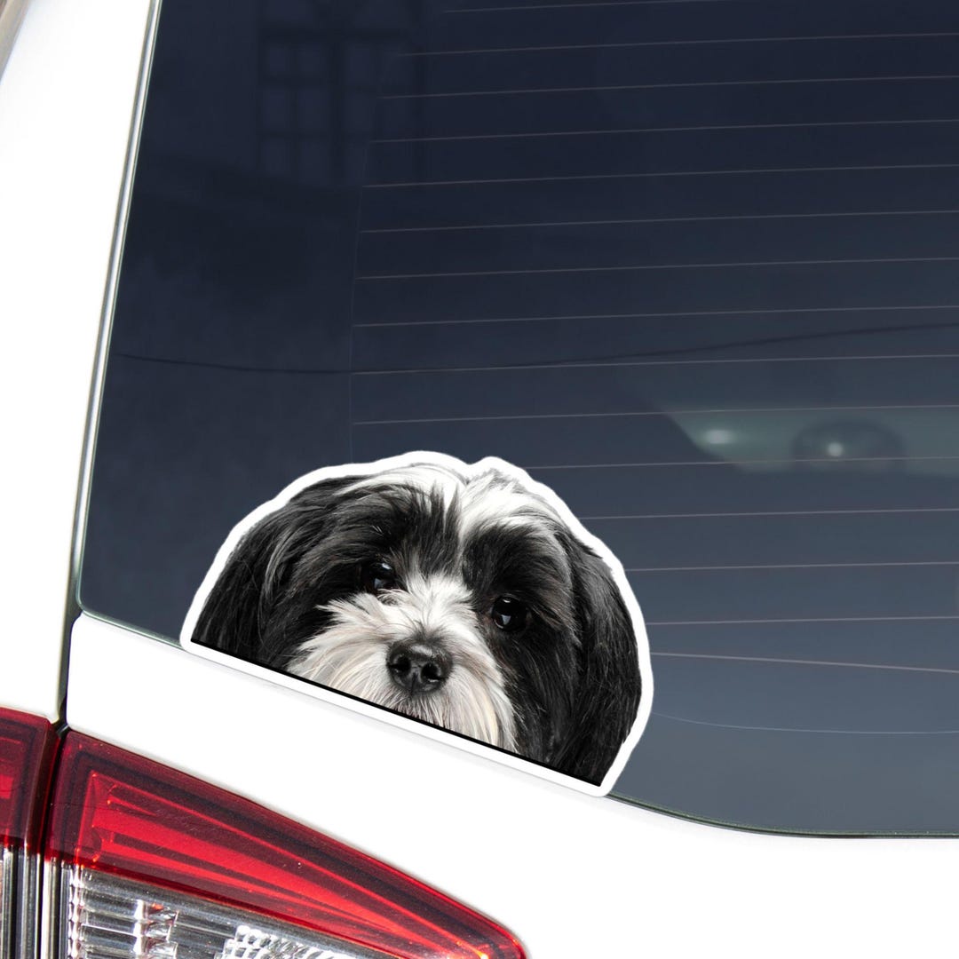 Havapoo Sticker Havanese Dog Car Decal - Peeking Black White Bichon Havanais Dog Vinyl ...