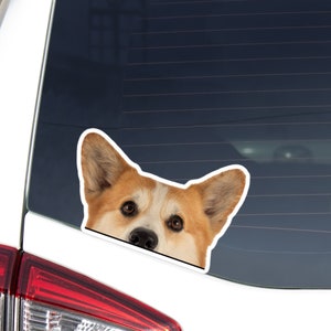 Red Headed Corgi Car Sticker Decal / Peeking Realistic Cardigan Welsh Corgi Head / Vinyl Waterproof Removable Outdoor / Window Bumper Laptop