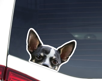 Peeking Chihuahua Car Decal - Black & White Dog Waterproof Sticker