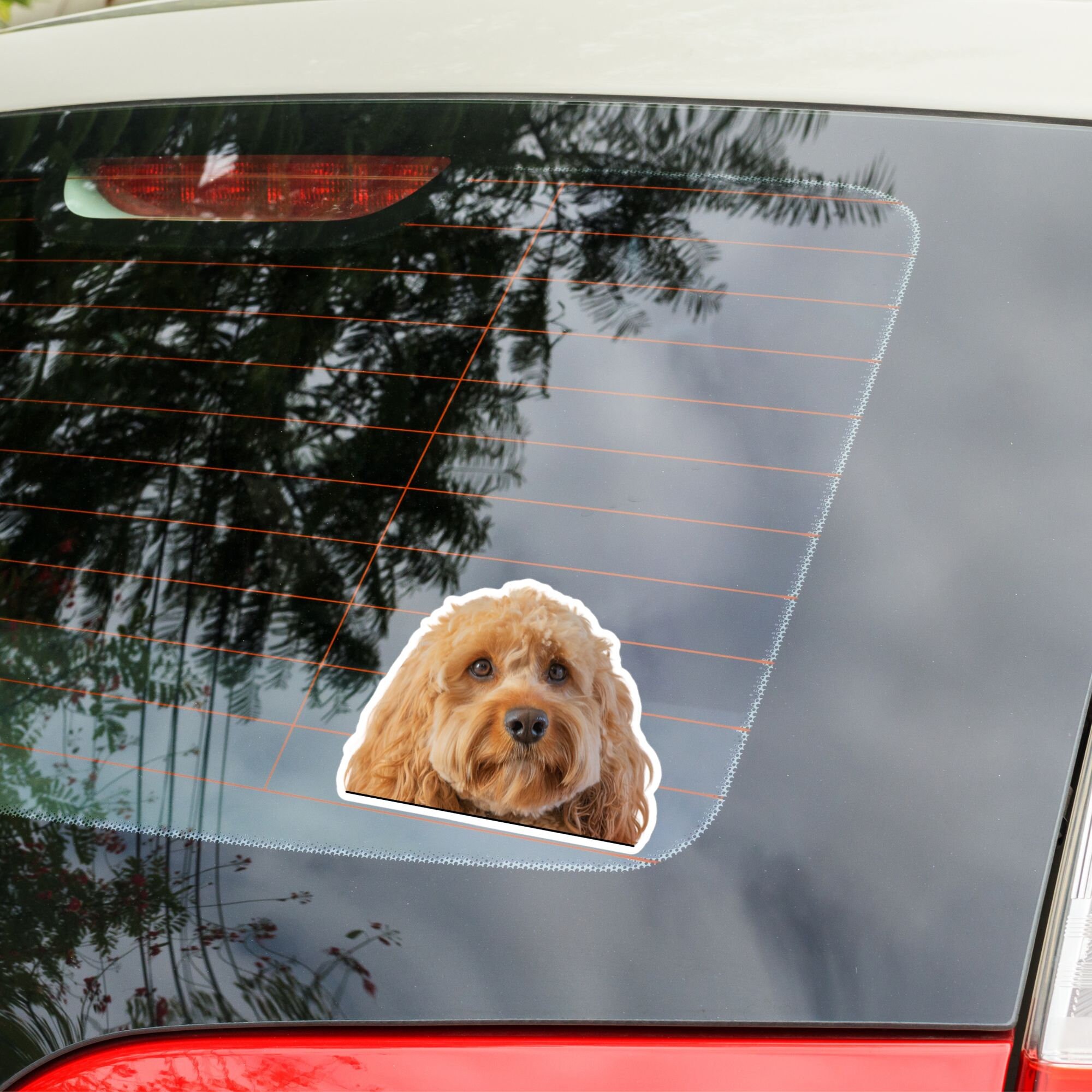 Red Cavapoo Car Decal Sticker / Peeking Photo Cavapoo Dog Head / Vinyl ...