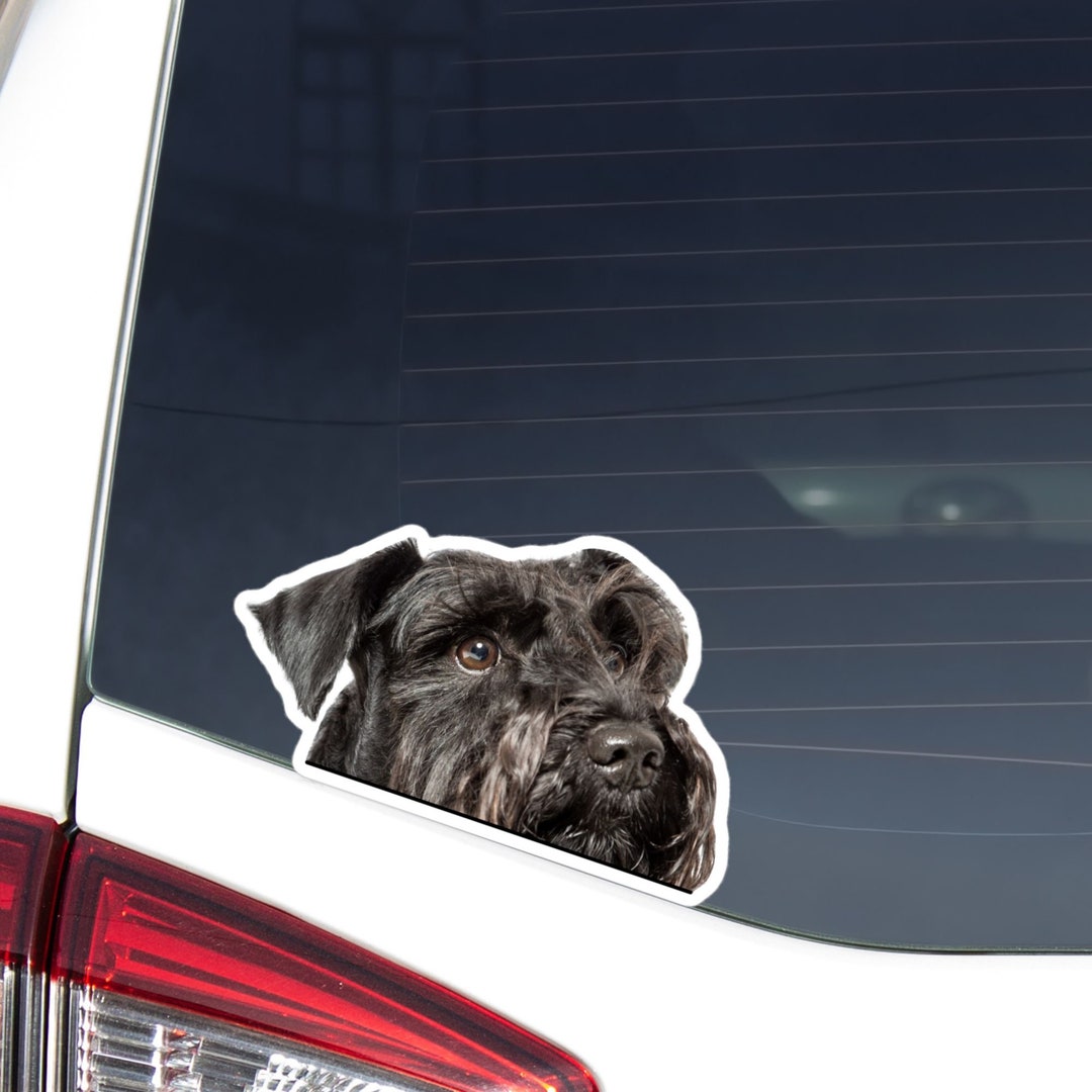 Black Miniature Schnauzer Car Decal Sticker / Peeking Realistic Dog