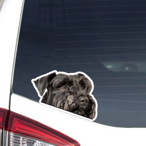 Black Miniature Schnauzer Car Decal Sticker / Peeking Realistic Dog Head / Vinyl Waterproof Removable Outdoor / Bumper Window Laptop Phone