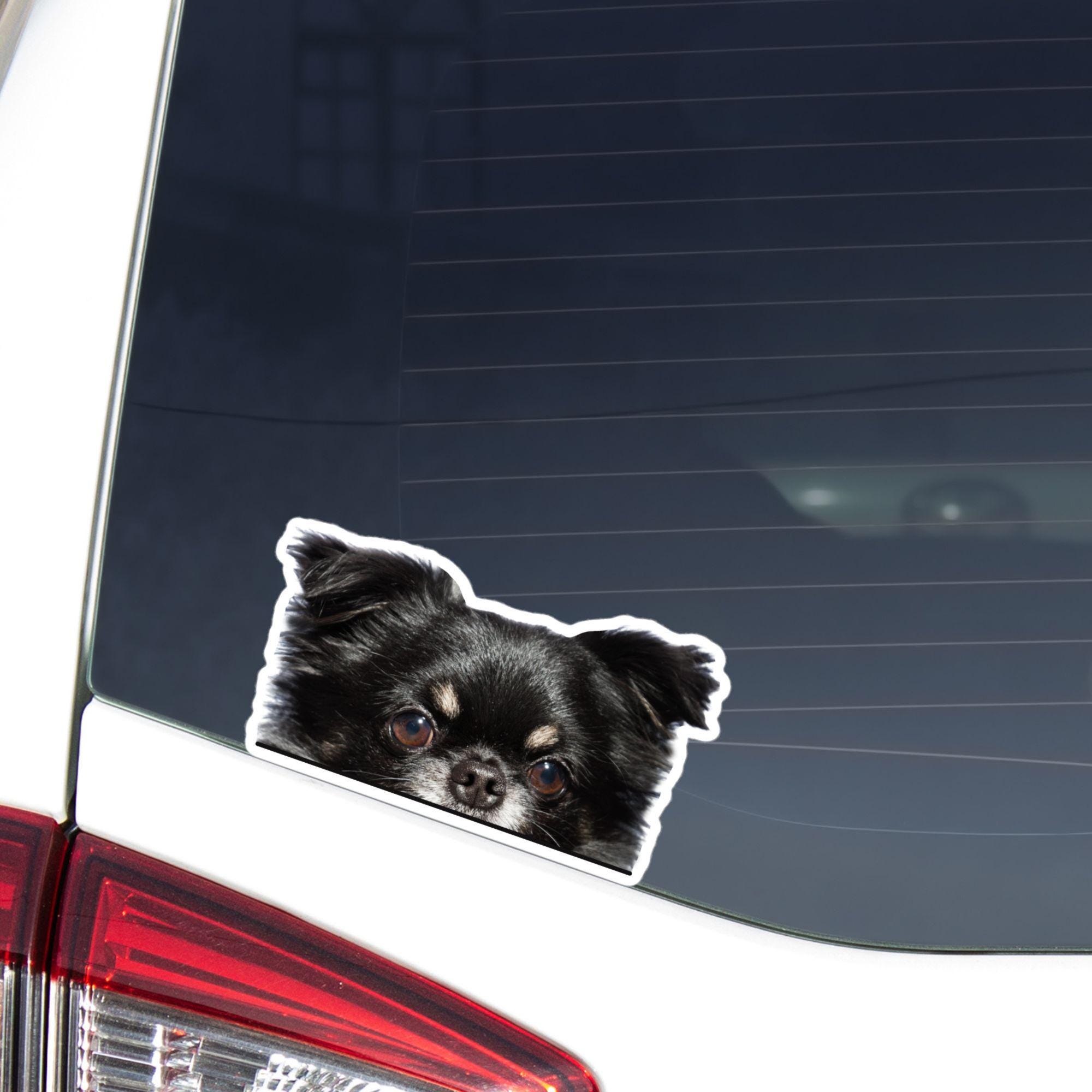 Long Haired Chihuahua Car Decal - Peeking Black & Silver Dog Vinyl