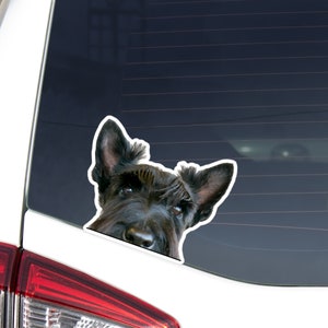 Black Scottish Terrier Car Decal Sticker / Peeking Scottie Dog Head / Vinyl Removable Waterproof Outdoor / Bumper Window Phone Laptop