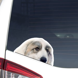 Pyrenean Mountain Car Decal Sticker / Peeking Grey Markings Dog Puppy Head Face / Vinyl Waterproof Removable Outdoor / Bumper Window Laptop