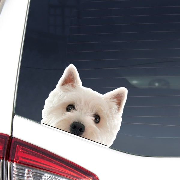 West Highland Terrier Car Decal Sticker / Peeking Photo Westie Dog Head  / Vinyl Waterproof Removable Outdoor / Bumper Window Laptop Phone
