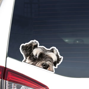 Black&Silver Miniature Schnauzer Car Decal Sticker / Peeking Realistic Dog Head / Vinyl Waterproof Removable Outdoor / Bumper Window Laptop