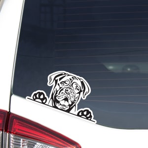 Dogue De Bordeaux Car Decal Sticker / Peeking White Dog Head Paws Up / Vinyl Waterproof Removable Outdoor / Bumper Window Laptop Phone