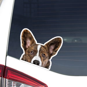 Brindle White Corgi Car Sticker Decal / Peeking  Cardigan Welsh Corgi Head / Vinyl Waterproof Removable Outdoor / Window Bumper Laptop