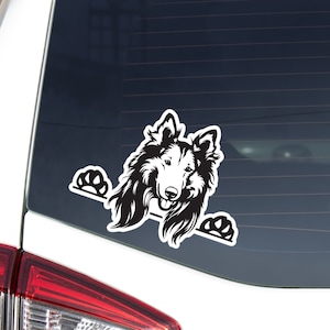 White Rough Collie Car Sticker Decal / Peeking Colling Dog Head Paws / Vinyl Waterproof Removable Outdoor / Window Bumper Laptop Phone