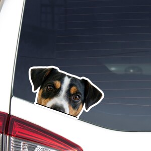 Op de afbeelding: Een gestanste sticker van een hondenkop, met een zwart, bruin en wit kleurenschema. De ogen van de hond zijn bruin en het lijkt erop dat hij uit een autoraam kijkt. De sticker heeft een witte rand.