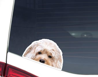 White Cavapoo Car Decal - Peeking Dog Face, Waterproof Vinyl Sticker