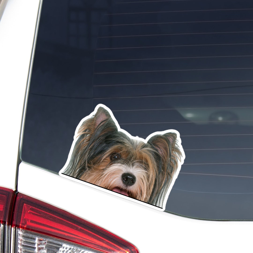 Biewer Yorkshire Terrier Car Sticker Decal / Peeking Realistic Blue ...