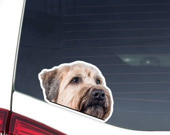 Soft-Coated Wheaten Terrier Car Decal: Peeking Dog Head, Waterproof Vinyl Sticker