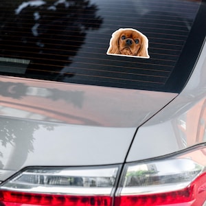 Cavalier King Charles Spaniel Car Decal - Peeking Ruby Dog Waterproof ...