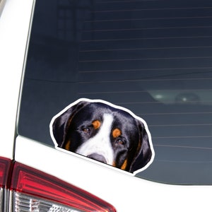 Great Swiss Mountain Car Decal Sticker / Peeking Grosser Schweizer Sennenhund Head Face / Vinyl Waterproof Removable Outdoor / Bumper Window